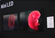 聚焦LED應(yīng)用全場景， 2022深圳國際全觸與顯示展解鎖行業(yè)新航向